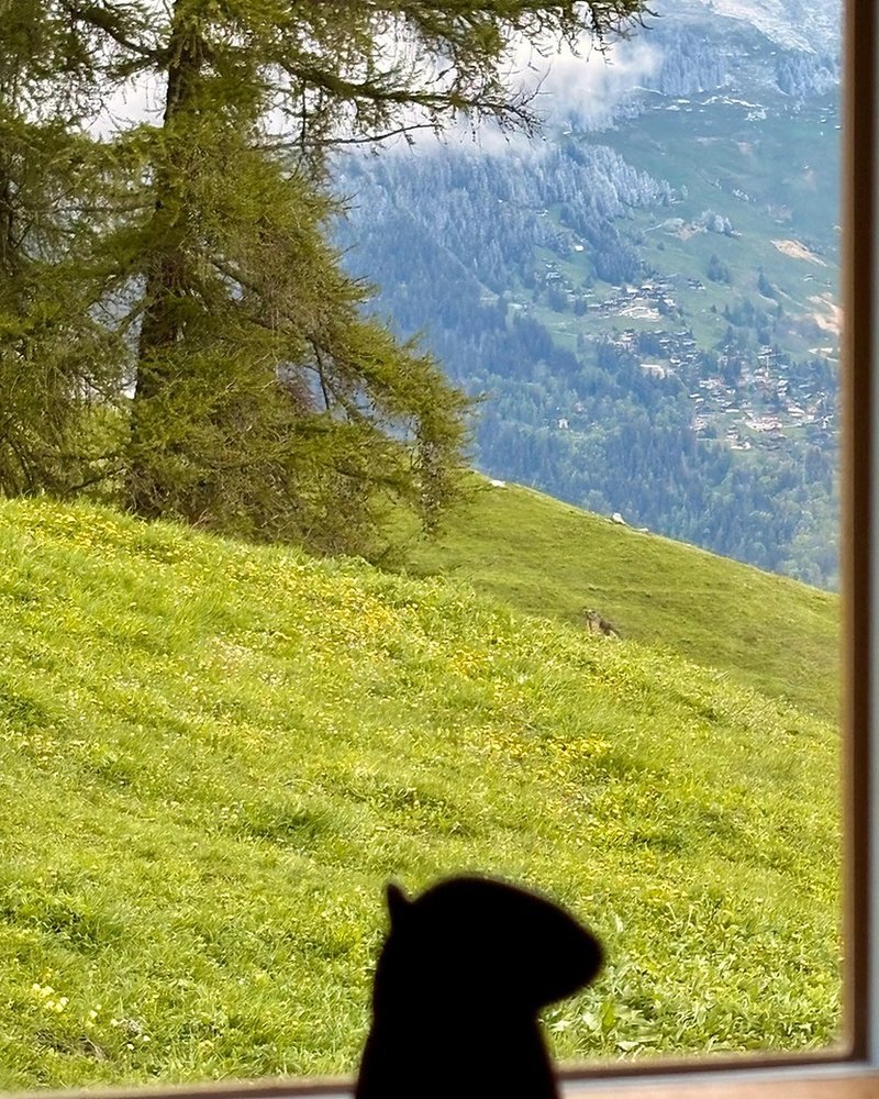 Vue depuis le chalet — vue 1